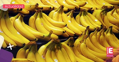 El banano colombiano llega al Medio Oriente, norte de África y sur de Asia